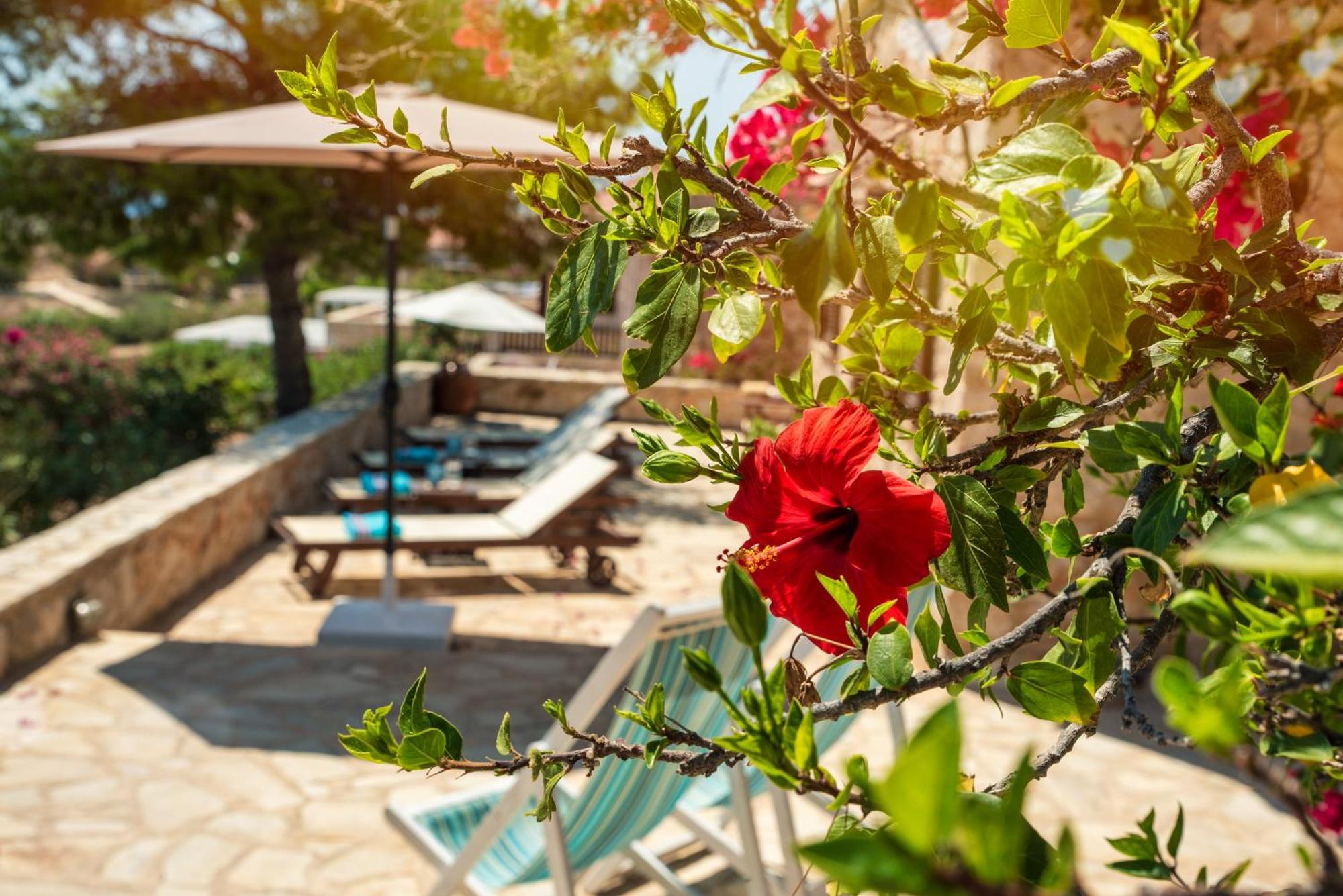 Villa Ftenagia Chalki Town Exterior foto